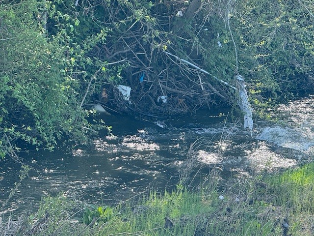 Cleanups image