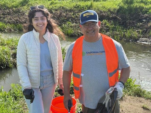 Cleanups image