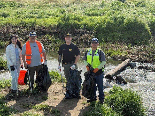 Cleanups image