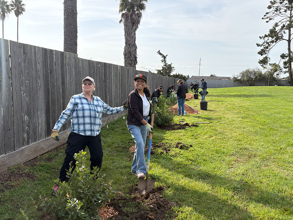 Cleanups image