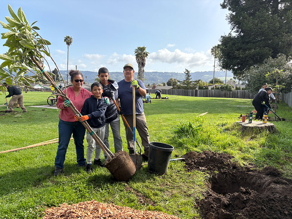 Cleanups image