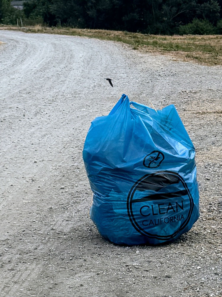 Cleanups image