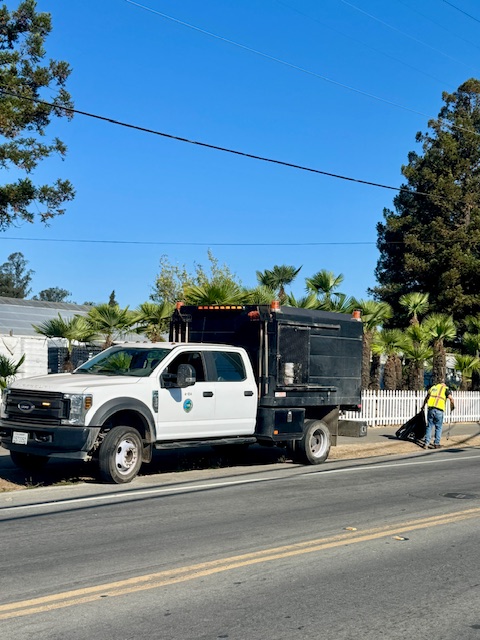 Cleanups image