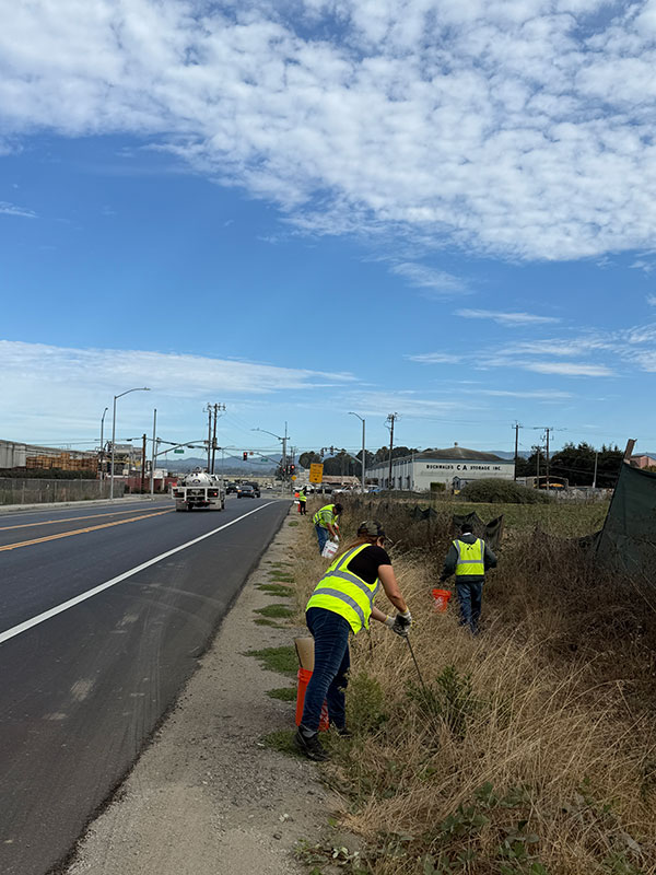 A group photo of volunteers claning the road