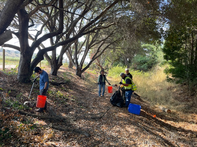Cleanups image