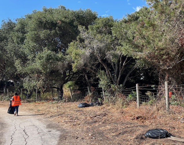 Cleanups image