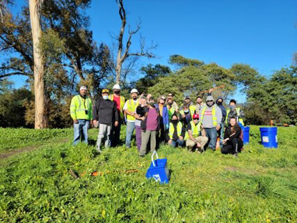 Cleanups image