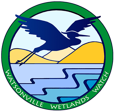 Watsonville Wetlands Watch